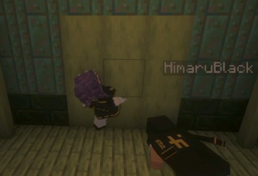 eu acho tão fofo a !celine e o !himaru combinando as roupinhas que o papai samir deu 🤏🏻

#arkanis #eraderubranya #nkt