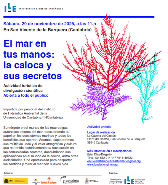 UCDivulga's tweet image. ¡No os lo perdáis! Mañana sábado, 29 de noviembre de 2025, a las 11 hEn San Vicente de la Barquera (Cantabria): El mar en tus manos: la caloca y sus secretos @IHCantabria