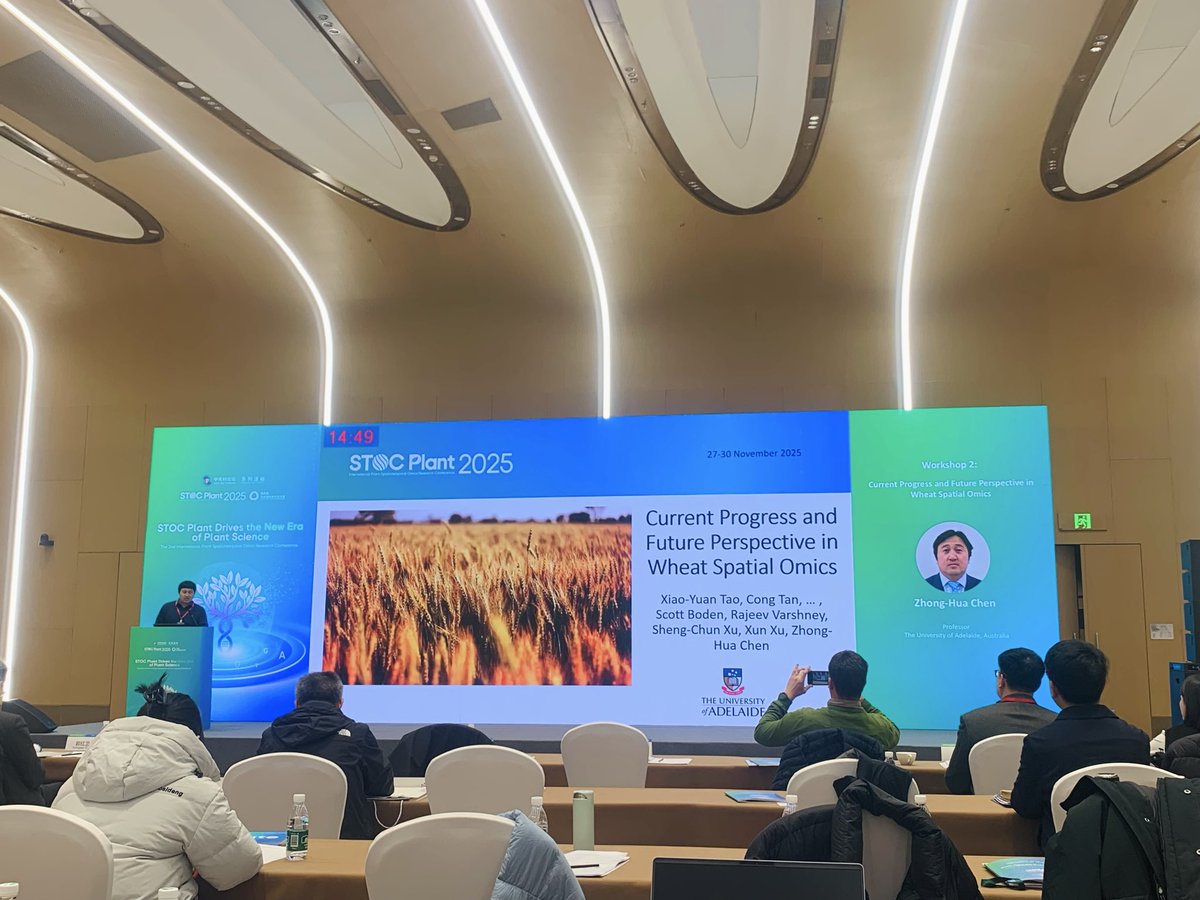 Ale_Raza6's tweet image. Now Prof. Zhong-Hua Chen @ZhongHuaChenAU is talking about “Wheat spaitial omics” 🧬 🌾 

#PlantScience @WheatInitiative @AHEAD_wheat @wheat_biology @wheatgenome @ManuelSpannagl @rajvarshney @MU_CCFI_Biotech @ShenzhenUni @WheatBreedingAU