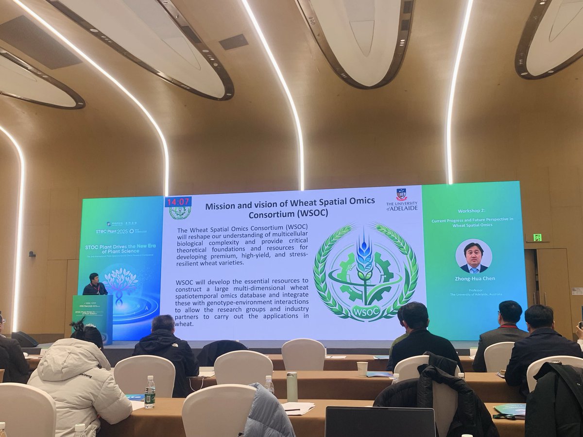 Ale_Raza6's tweet image. Now Prof. Zhong-Hua Chen @ZhongHuaChenAU is talking about “Wheat spaitial omics” 🧬 🌾 

#PlantScience @WheatInitiative @AHEAD_wheat @wheat_biology @wheatgenome @ManuelSpannagl @rajvarshney @MU_CCFI_Biotech @ShenzhenUni @WheatBreedingAU
