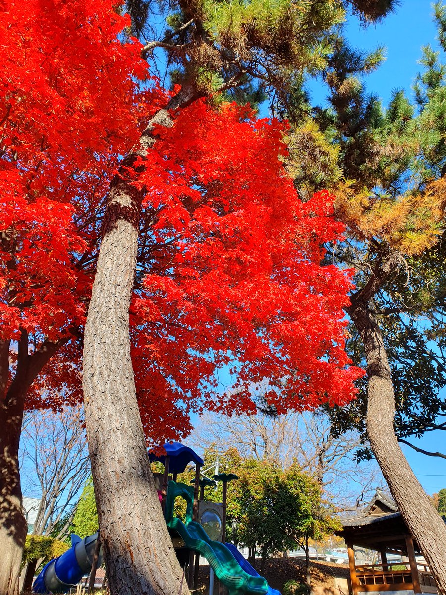 그냥 예쁜 것 '-'