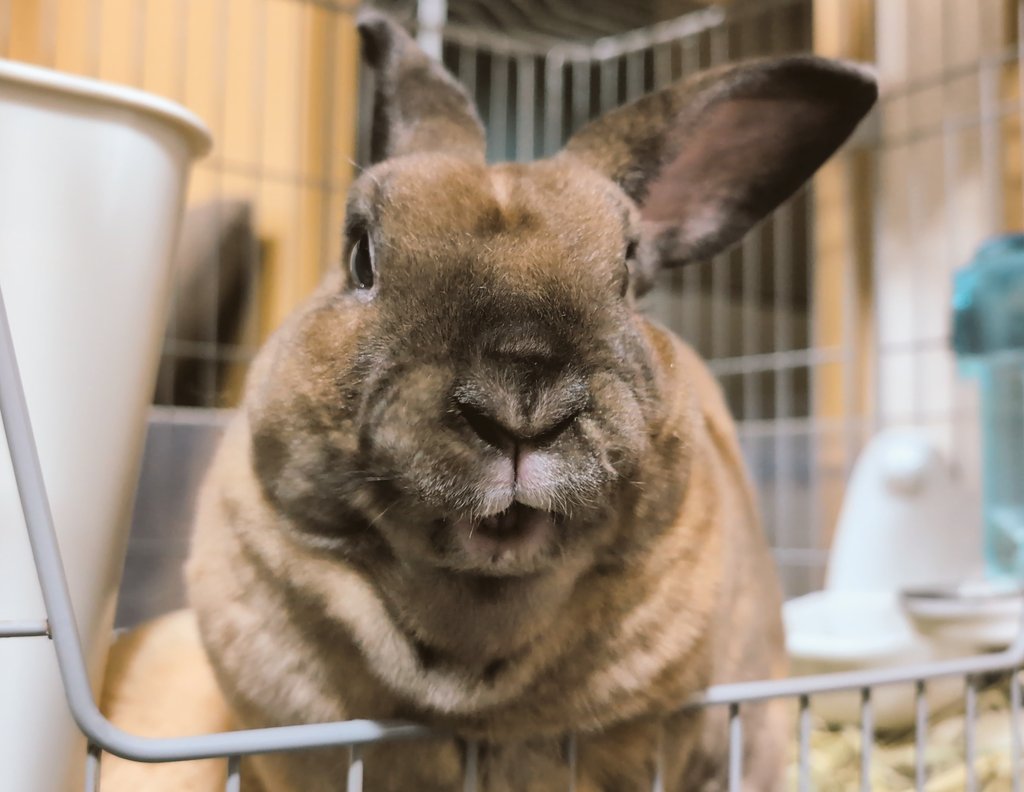 lioziro473's tweet image. 金曜だってなぁ