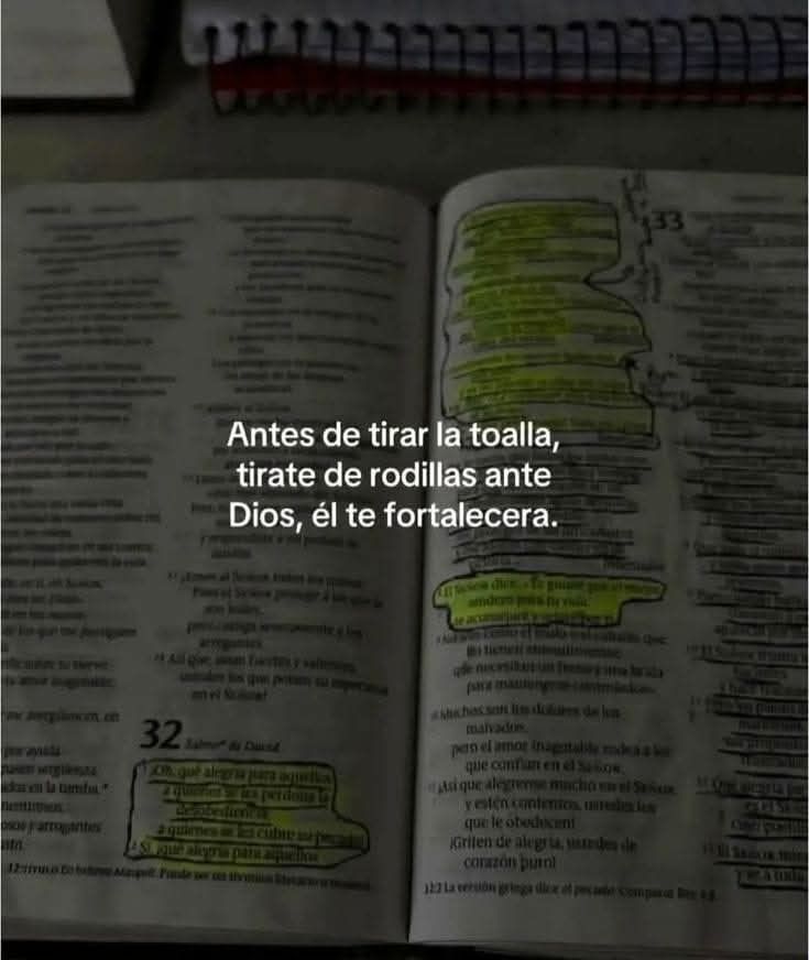 elsiervo__'s tweet image. 