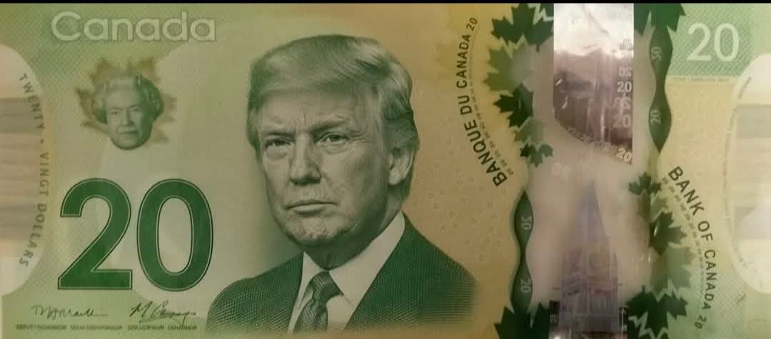 LeFACTEUR10's tweet image. Soudainement notre dollars a pris de la valeur. 🤣🤣🤣