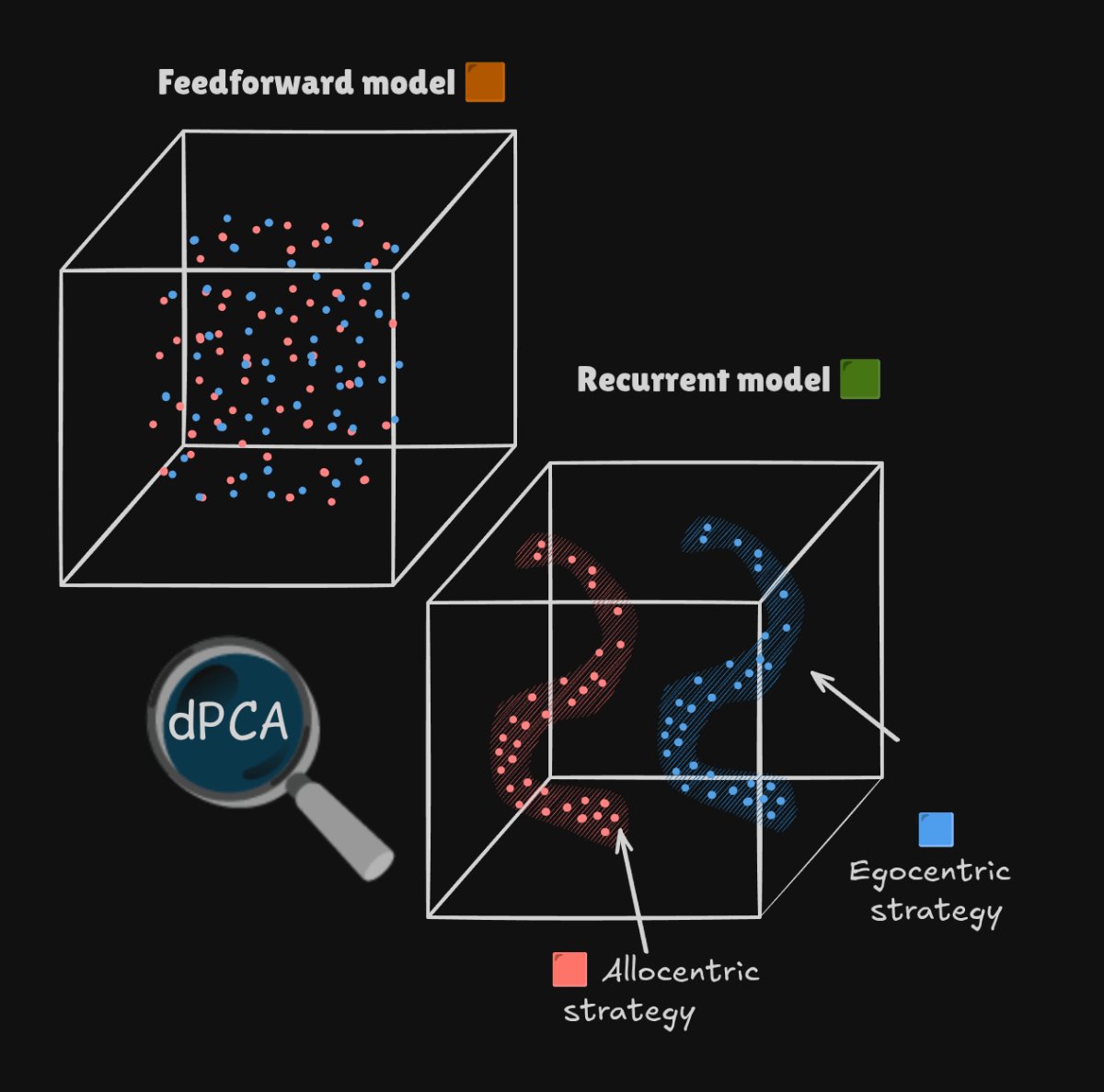 neurosock🧠Brain Chips🦾 tweet media