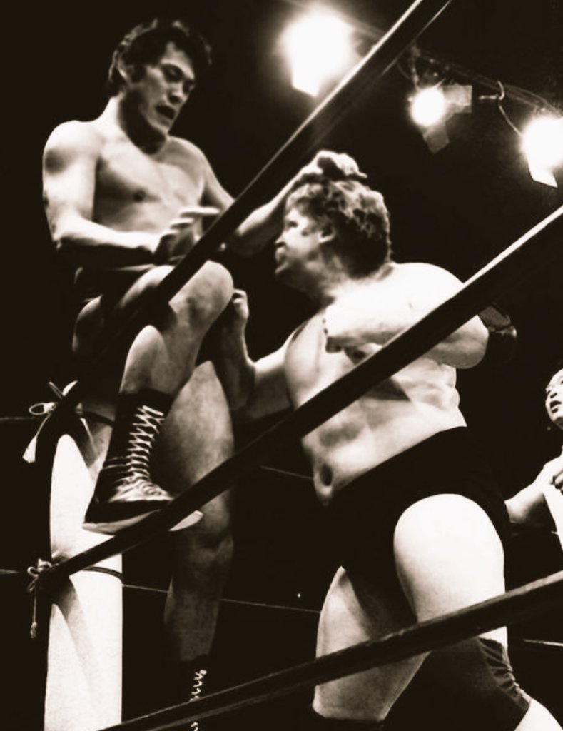 プロレス　ミニカード　アントニオ猪木　スタン・ハンセン プロレス ミニカード アントニオ猪木 スタン・ハンセン プロレス ミニ