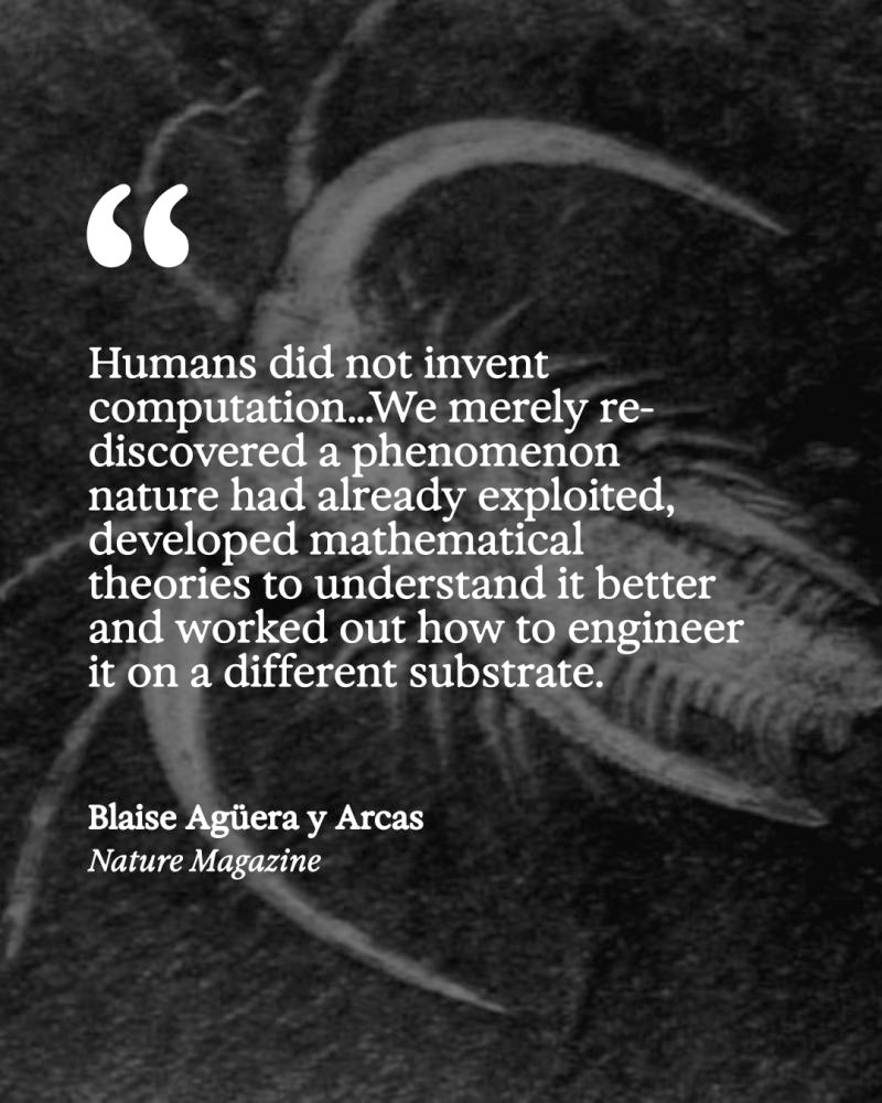 hardmaru's tweet image. What is the future of intelligence? The answer could lie in the story of its evolution.

Nice essay by @blaiseaguera published in @Nature.

Essay: nature.com/articles/d4158…

Some nice ideas in the piece:

“Hunting is a prime example of this predictive modelling. A predator must…