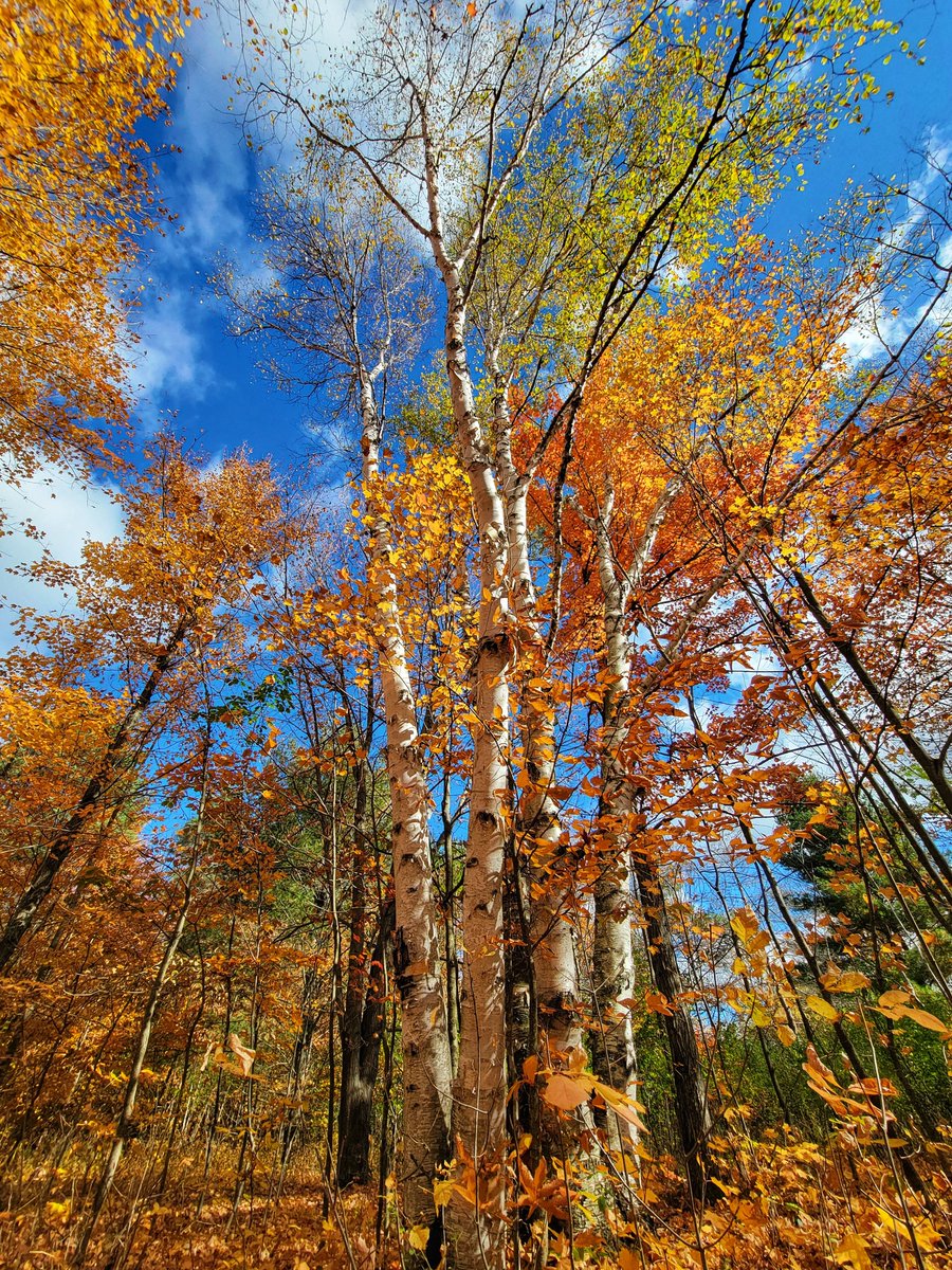 Thankful for the seasons