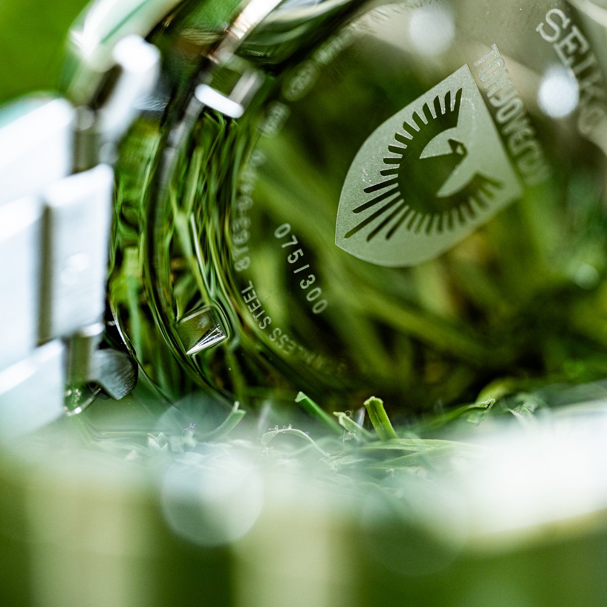 東京ヴェルディ