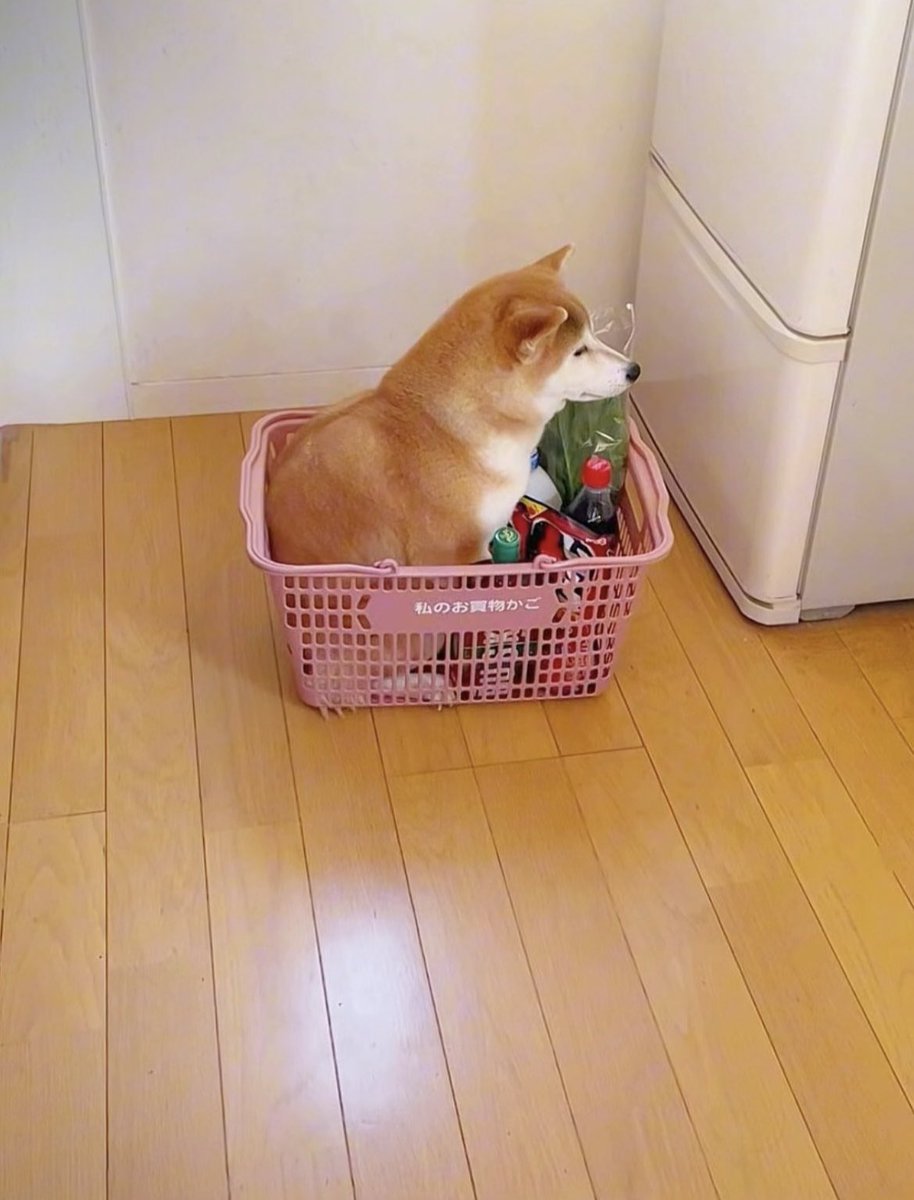 どう考えても買った覚えない犬入ってる…