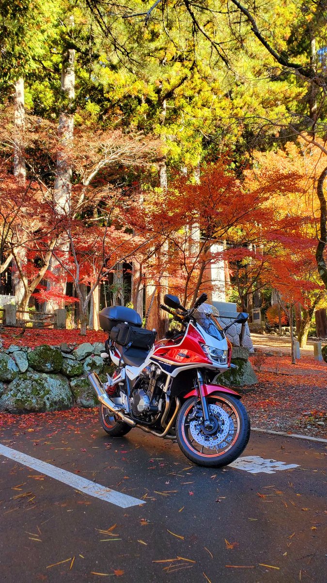 MsLABO6's tweet image. 身延山久遠寺
山門脇の駐車場が見事な秋🍁
駐車料金ケチると、これ上るのか…😅
#CB1300SB