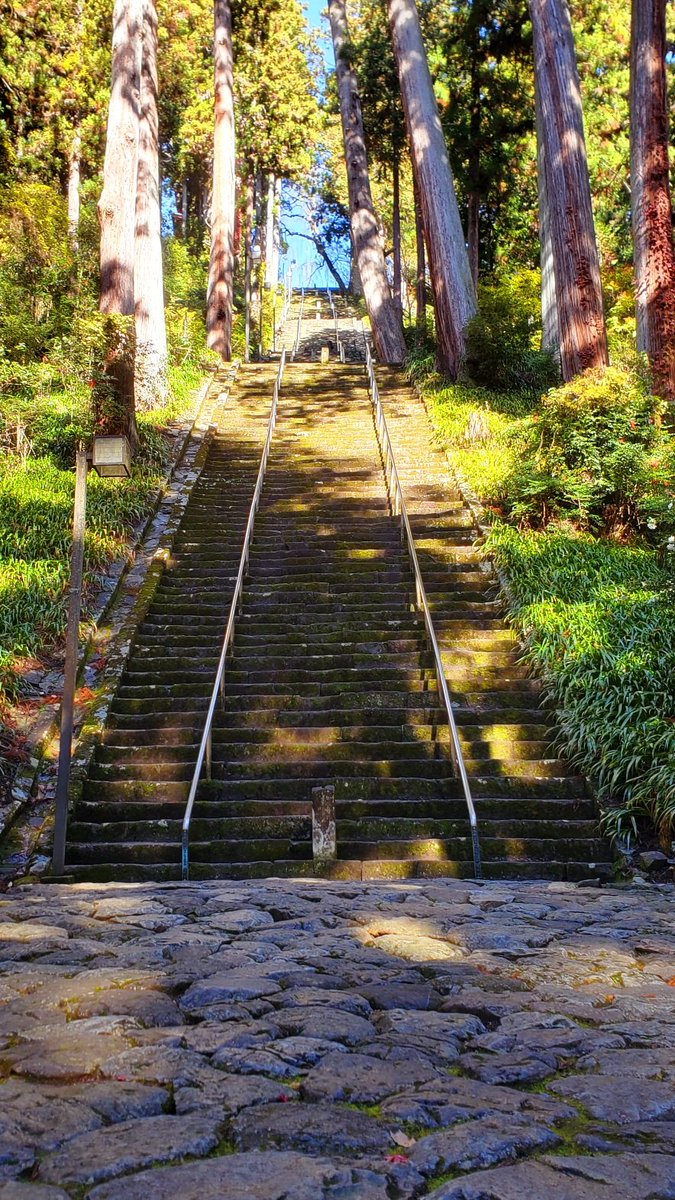 MsLABO6's tweet image. 身延山久遠寺
山門脇の駐車場が見事な秋🍁
駐車料金ケチると、これ上るのか…😅
#CB1300SB