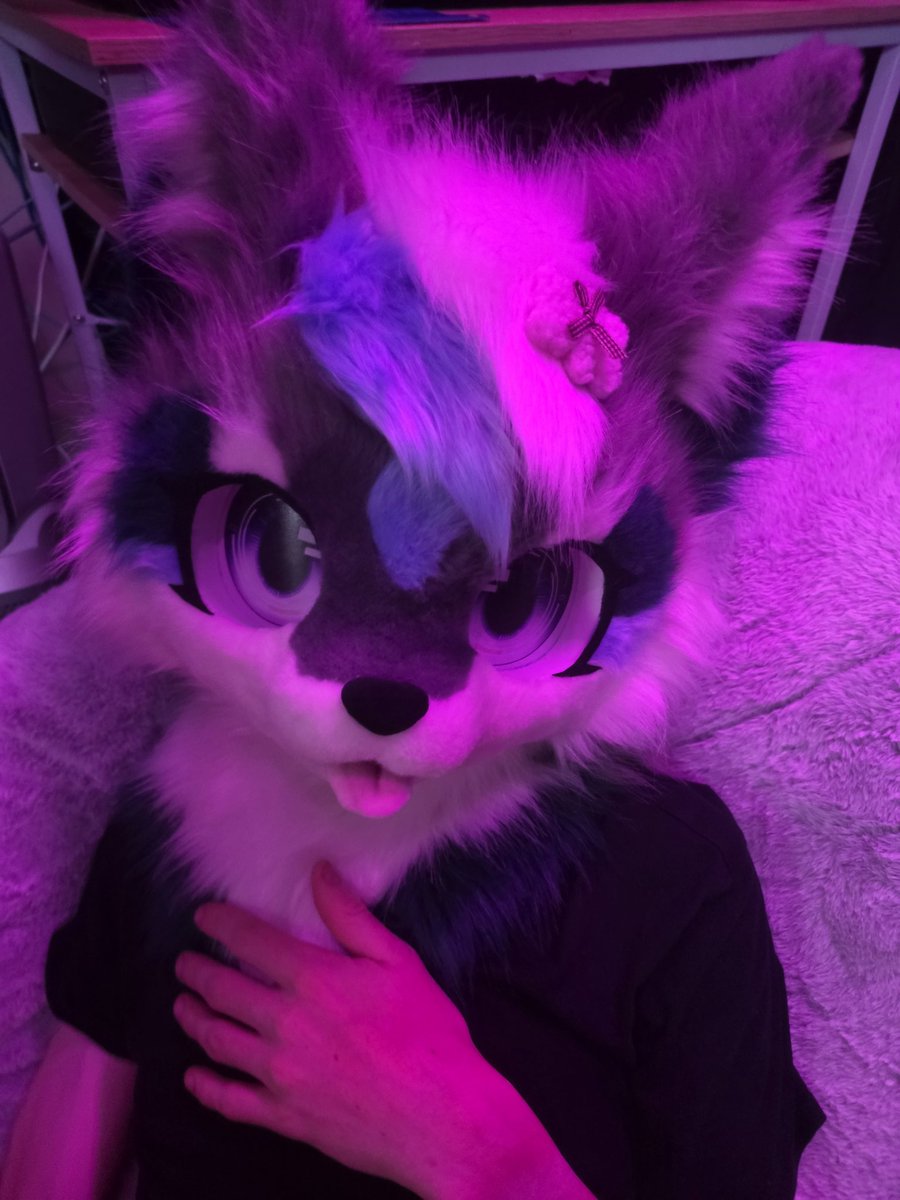 Lexx 🔜 Furdu26 tweet media