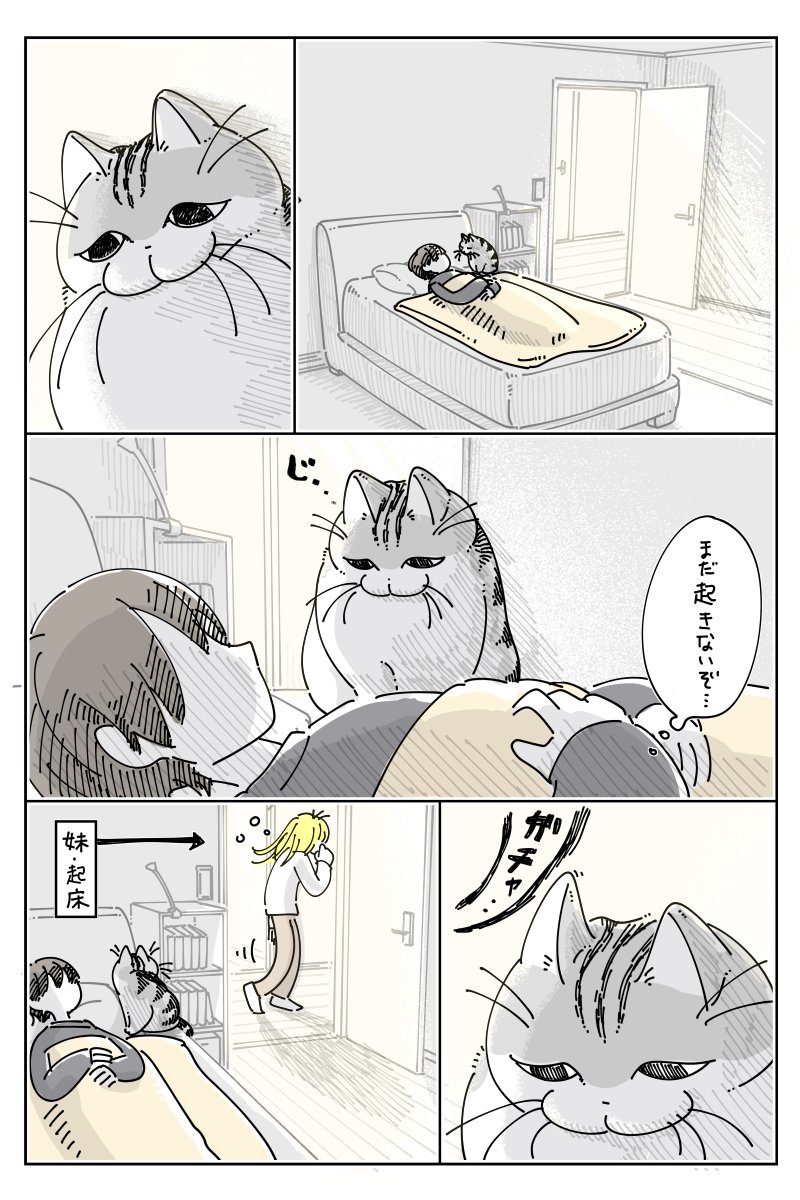 ムイ (@mui_6_1_) / Posts / X