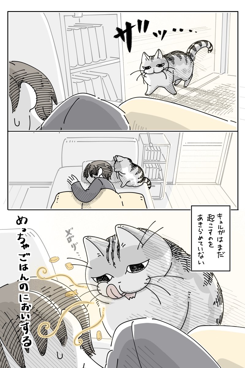 起こすの諦めない
nekonavi.jp/catblog/archiv…