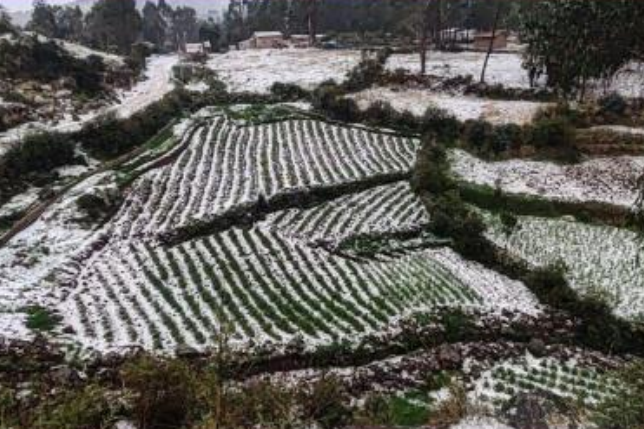 COENPeru's tweet photo. El 26/11 se presentaron #Granizadas en los distritos #Vilcashuamán, #Acocro y #Vischongo (Ayacucho), cuyos daños alcanzaron afectaciones en viviendas, instituciones educativas, cultivos y carreteras. (1/2) https://t.co/XOudkQvAUX