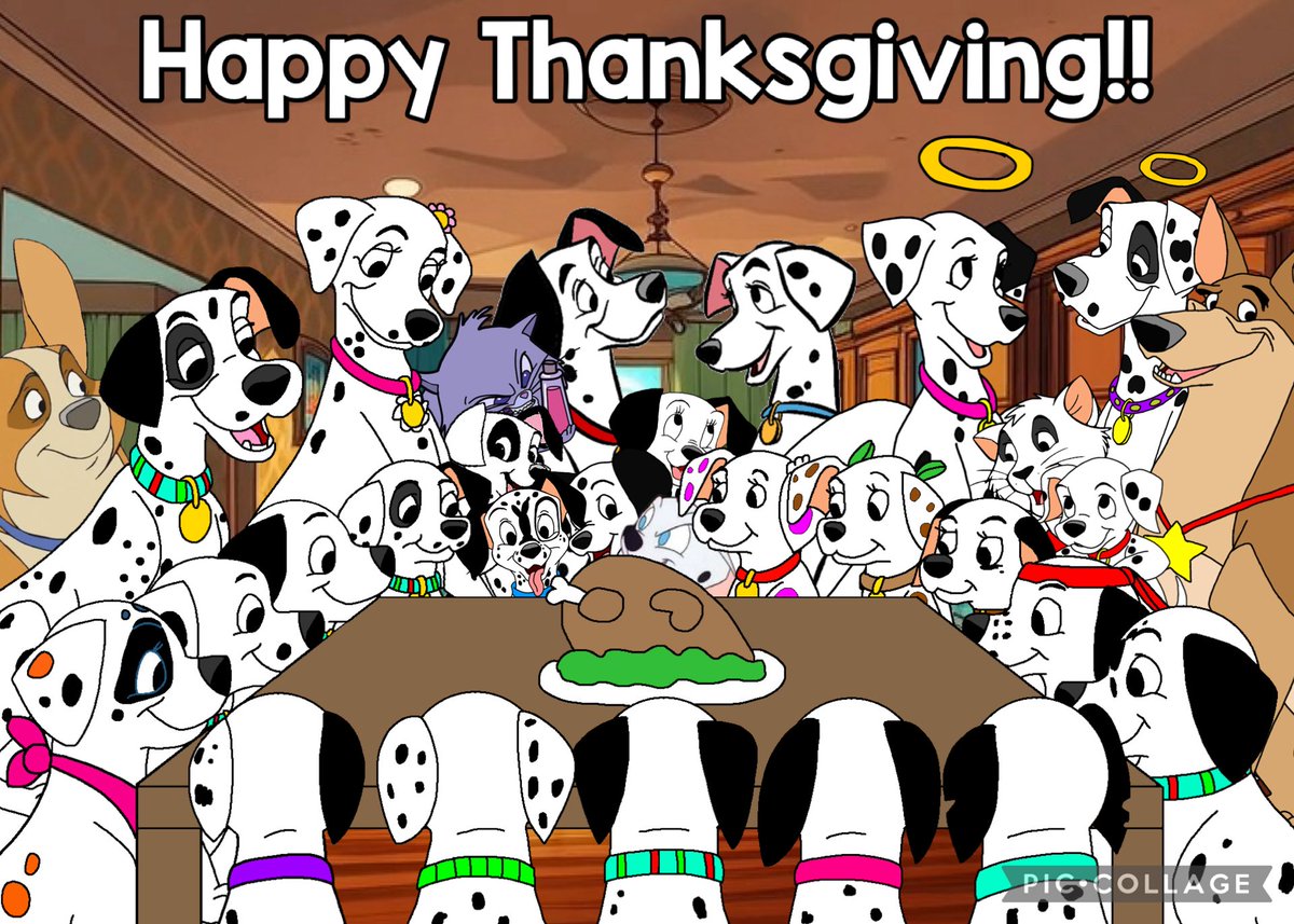 🐶ᴘᴀᴛ ᴅᴀʟᴍᴀᴛɪᴀɴ🐶 tweet media