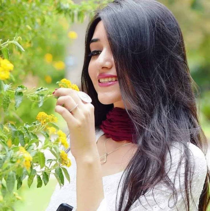 bkaurmft's tweet image. पलकों से

 आंसुओं  की 
 क़तारों  को  पोंछ लो

#पतझड़   की  बात 
  ठीक  नहीं  है
    बहार  में

 सुप्रभात जिंदगी __🌾🌲🌾

#Bk 
 #सरस
 #पहल