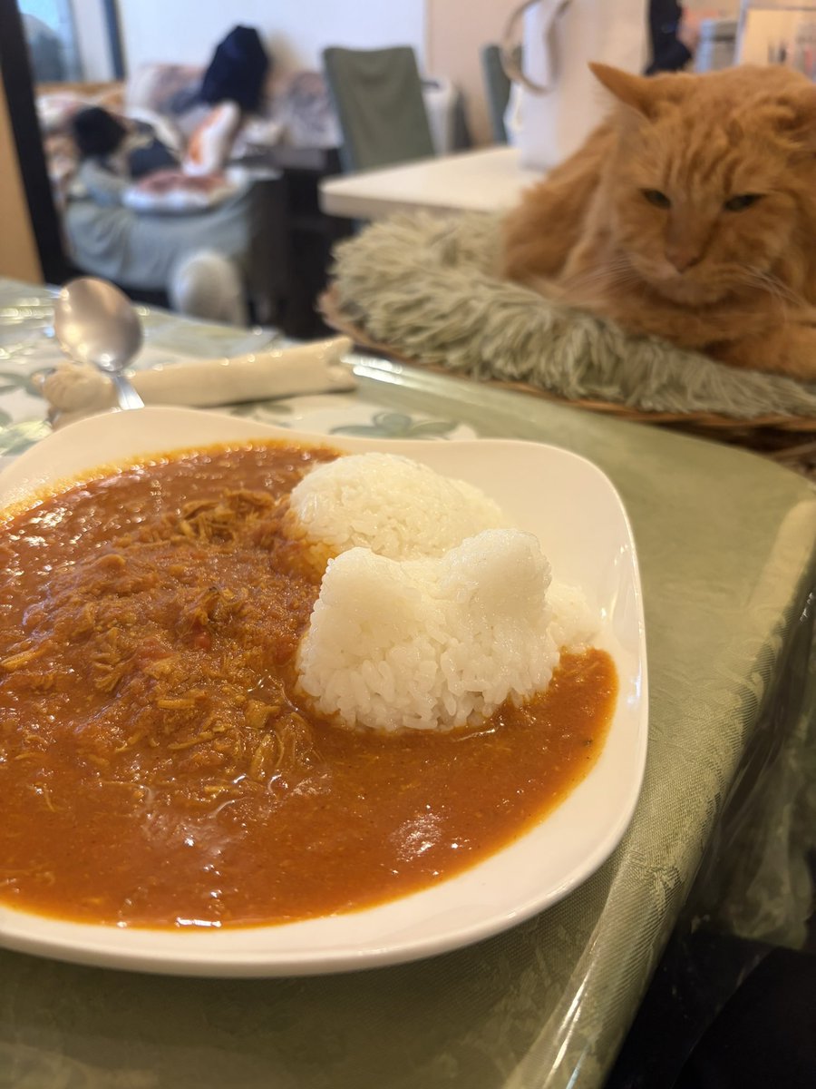 キャットドッグカフェに行って来ました！
久しぶりにワンコの匂いをかげて幸せでした♪