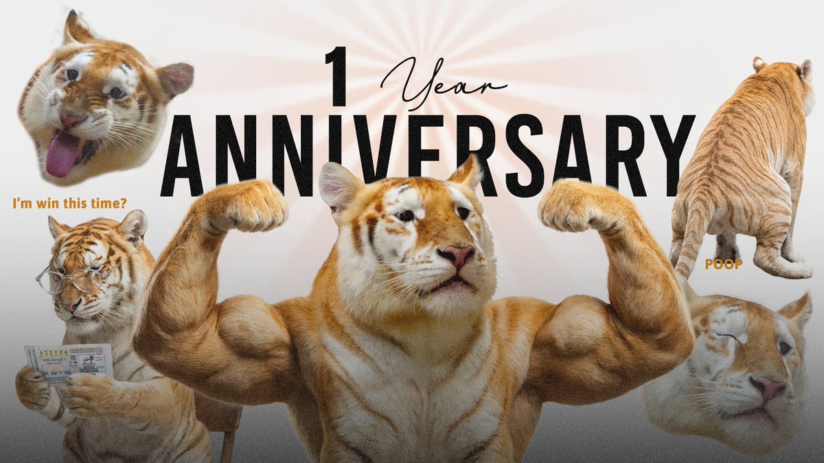 avathecutetiger's tweet image. Gmeow! $AVA believers!
This month last year, our coin was created and reached an All-Time High (ATH) Market Cap of 20-30 million.

Although the price of the $AVA coin has dropped significantly since then, our community remains steadfastly committed and continues to hold the coin…