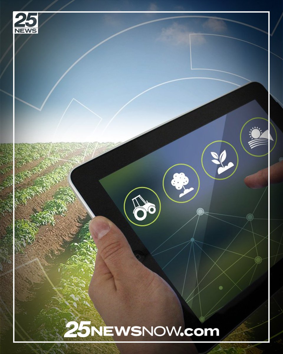 25NewsWEEK's tweet image. The Future of Farming: Robotic technology monitors, harvests produce inside Phoenix warehouse

DETAILS: tinyurl.com/mrej63zt