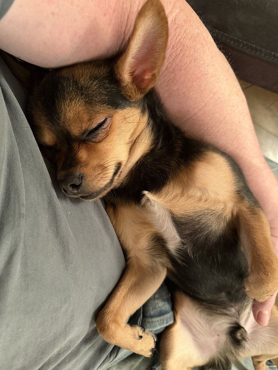 And that’s a wrap for Thanksgiving 2025