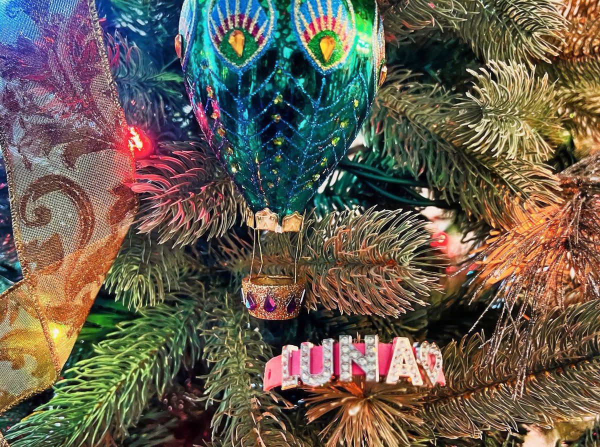 MMoonREAgent's tweet image. Is it too early to put up a Christmas tree? Well, it&apos;s too late. 😄

#christmastree #christmasseason #chtistmas #christmasspirit