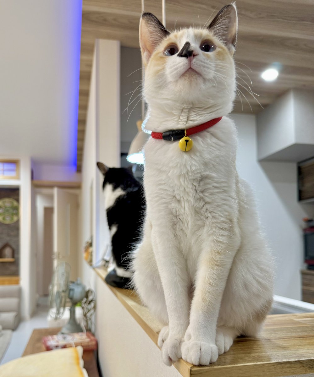 なみそ📕KEN/書籍重版！感謝📙 (@omochi_nam01) / Posts and Replies / X