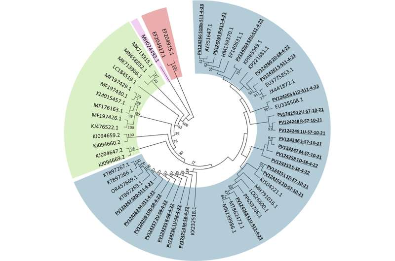 Idamr2026's tweet image. Antimicrobial resistance risks from bacteria in &apos;Trojan horse&apos; amoebae: tinyurl.com/3ewckcsk
For More Details Visit Our Website IDAMR 2026: infectiousdiseasesconclave.com
#AMR #microbiologyassignmenthelp
