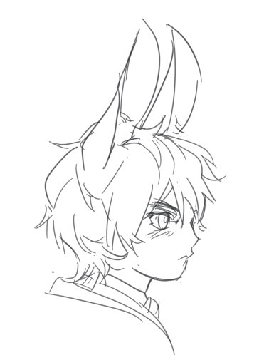 🐾 (@white5freude) on Twitter photo 