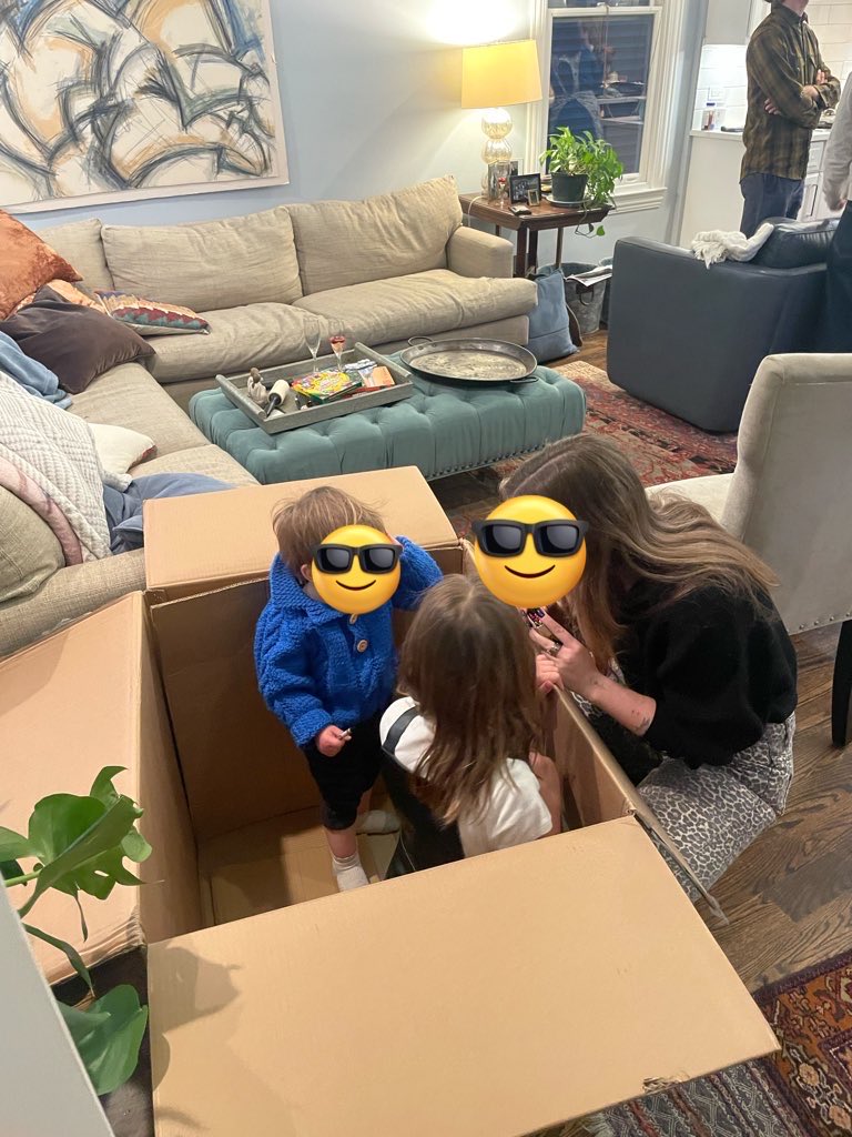 Wayfair package just arrived #boom