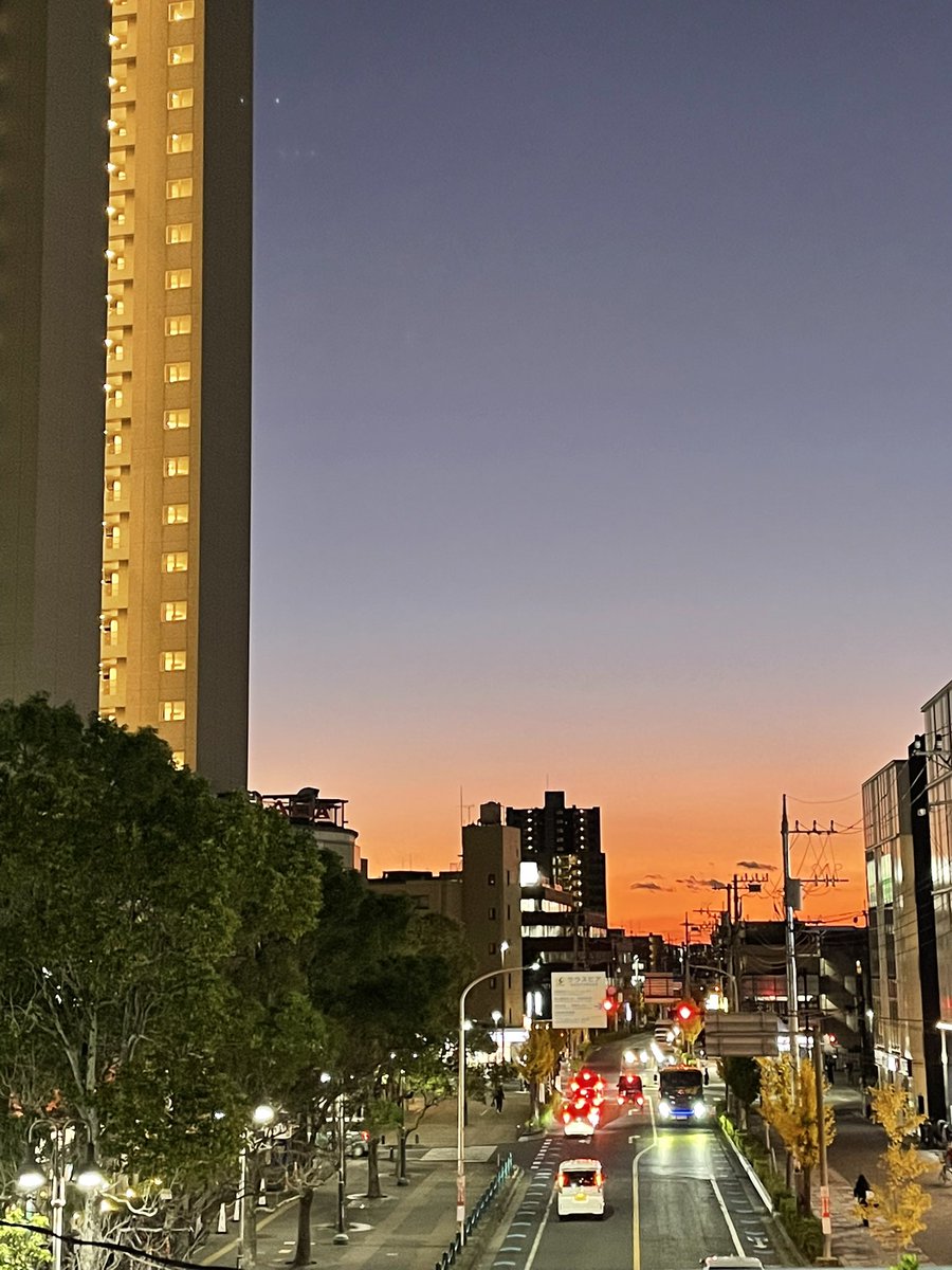 グッドモーニングならぬトワイライト
#glm写真館 #glm795