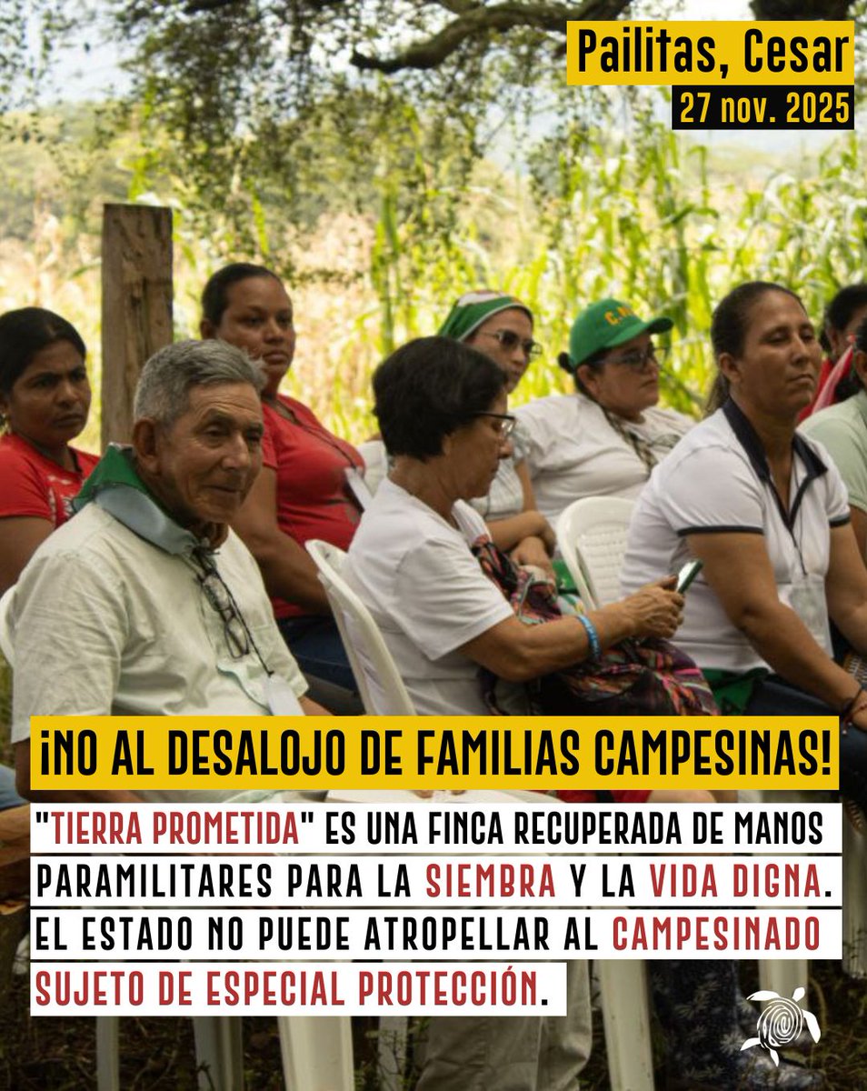 Human Conet tweet media