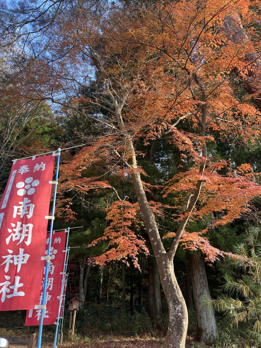 さぼてん (@hrsgjktdv) / Posts / X