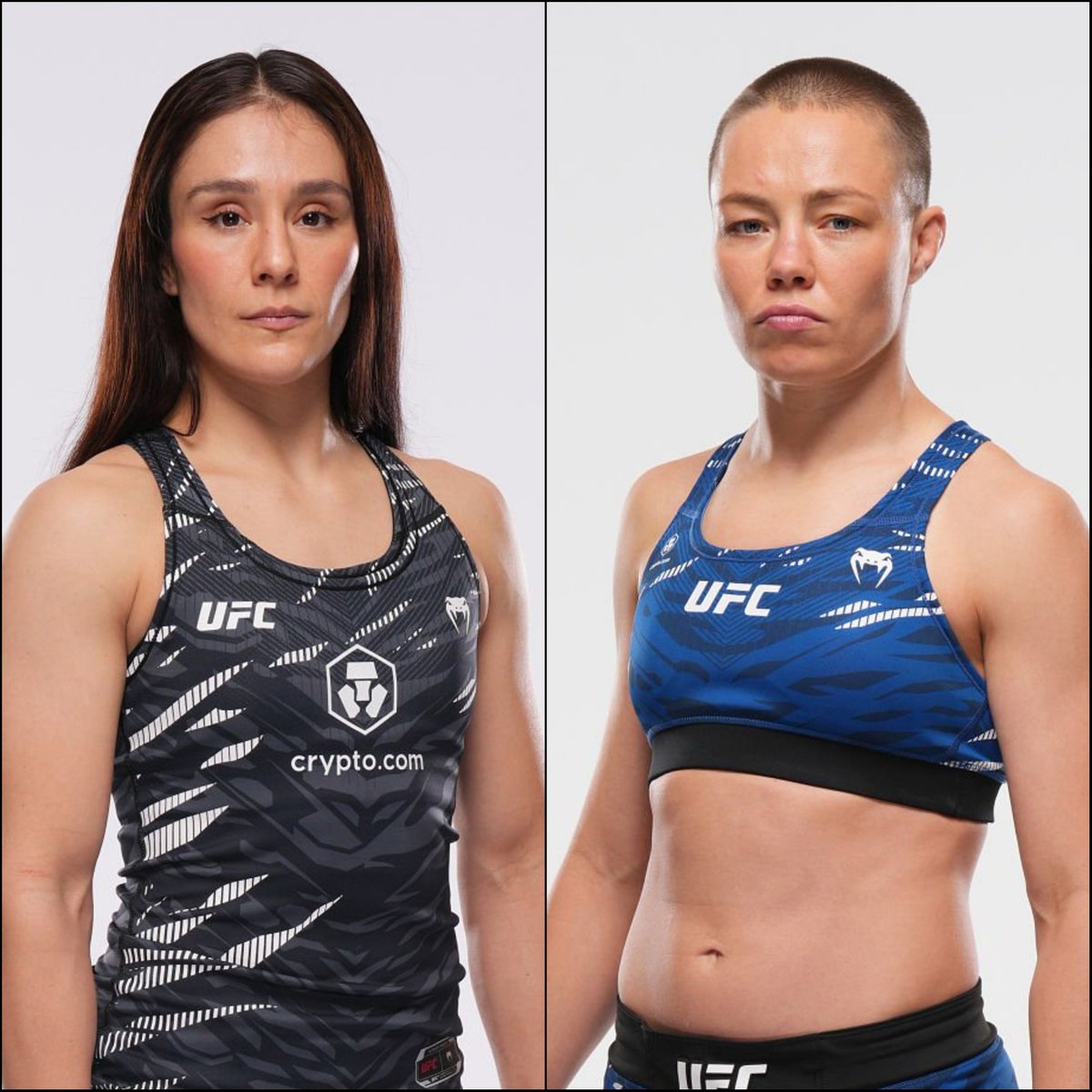 Marcel Dorff 🇳🇱🇮🇩 tweet media