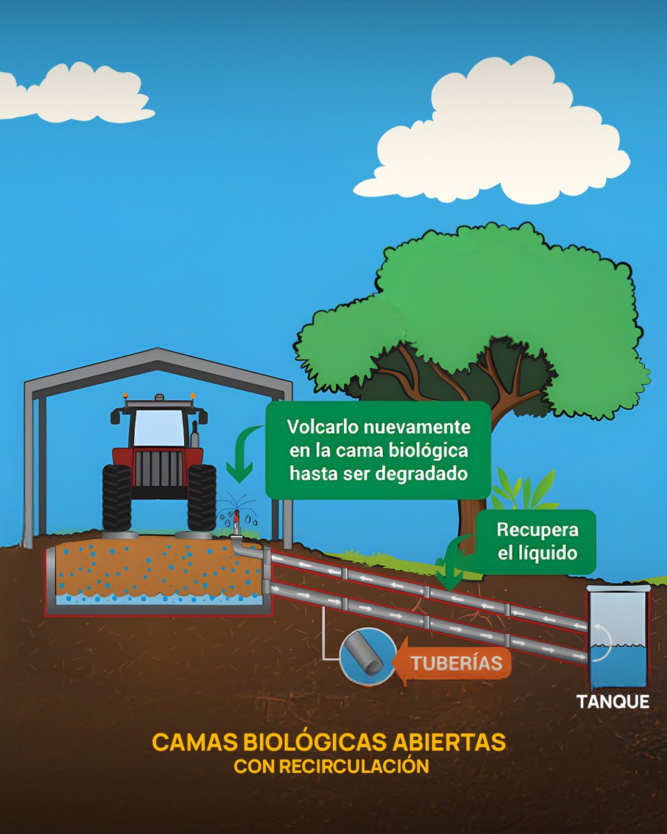 CAFYFpy's tweet photo. ¡Optimizá la gestión de tus recursos con las camas biológicas! 🤜🏻🤛🏻

Elegí la solución adecuada para tus necesidades y lleva tu producción al siguiente nivel🚀 https://t.co/IoEntoM3xC