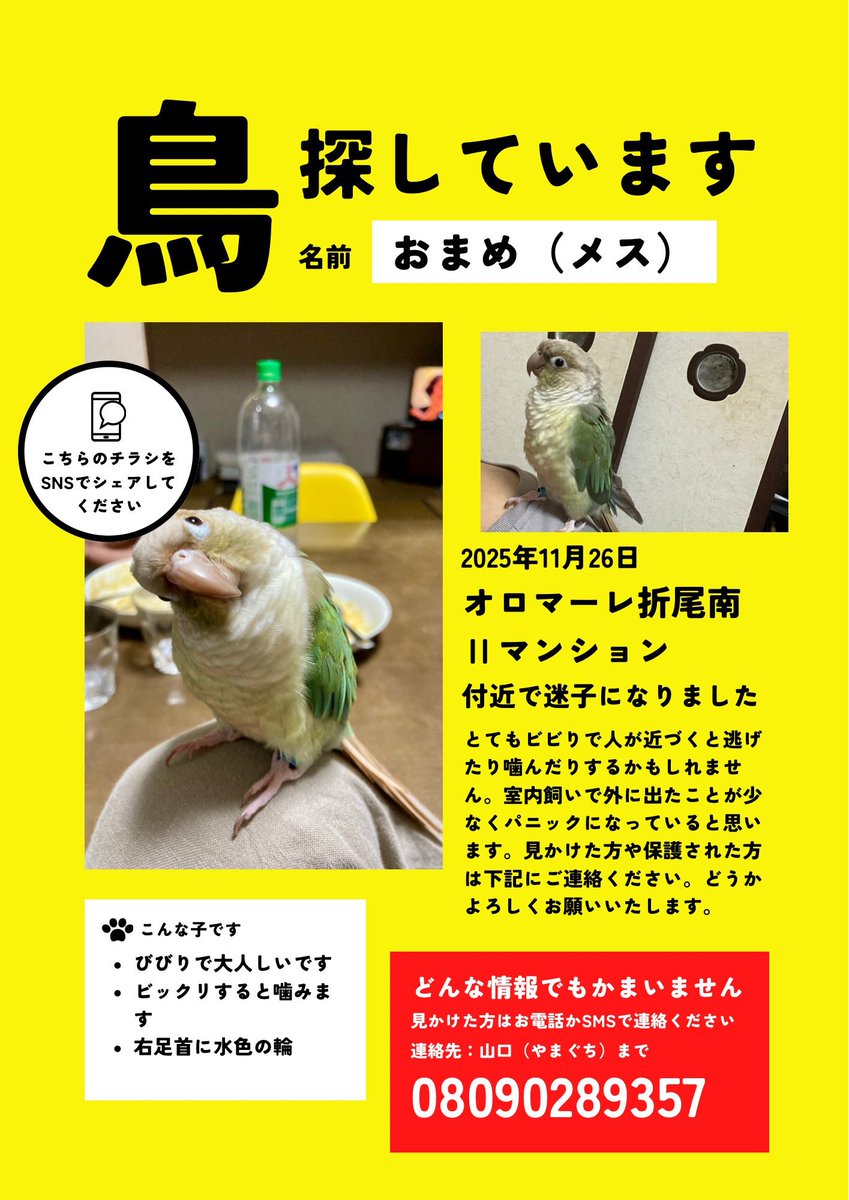 迷子ちゃん居ます! 拡散お願いします🙇‍♂️