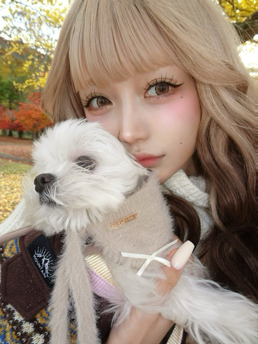 ニキ（依存性） (@615namo) / Posts and Replies / X