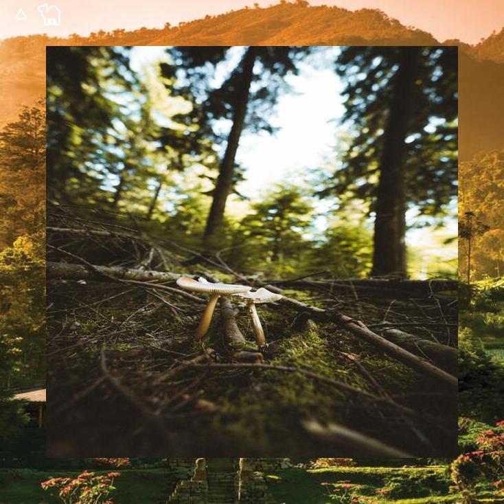 Laura Almond tweet media