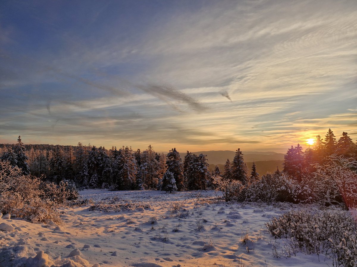 Auf der Durchfahrt gewesen. Musste einfach halten.🥰