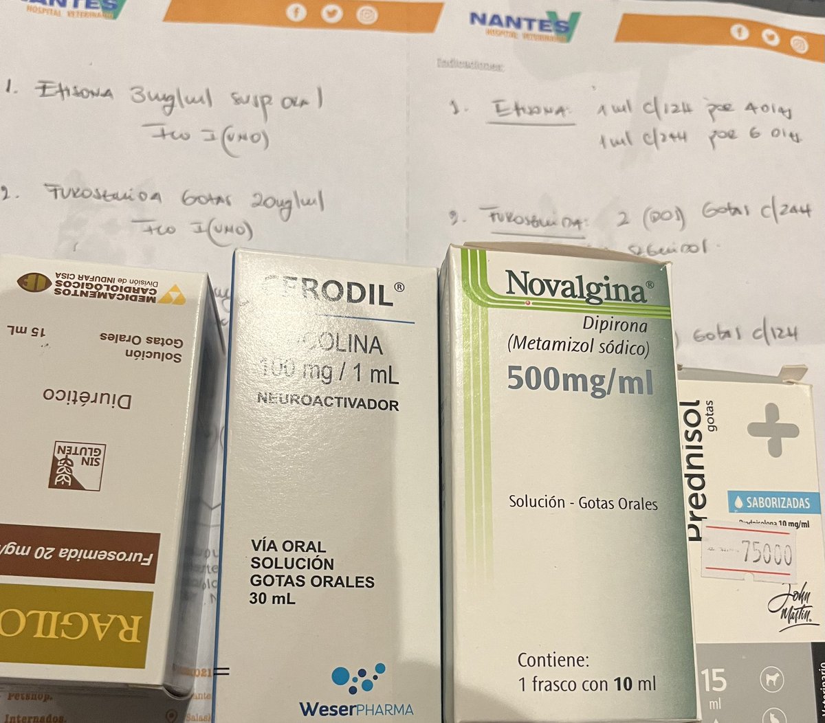 Pepito Pequeñito nos necesita 🙏 sigue tratamiento con el neurólogo para mejorar su calidad de vida, necesita un estudio que tiene un costo de 660.000 más consulta 250.000 para aportes a cuenta Ueno alias CI 1193765 a nombre de Leticia Ruíz Díaz o giros al 0981527015 TODO suma 🙏