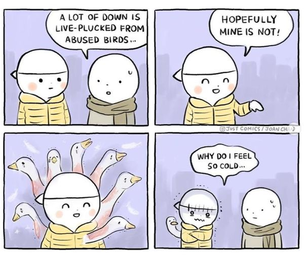 herbivore_club's tweet photo. Did you know that China dominates global duck (65%) and goose (94%) down production and has no laws against live plucking?

🎨 @TheJustComics 🪿

#DownWithDown https://t.co/GoYYTMtwD4