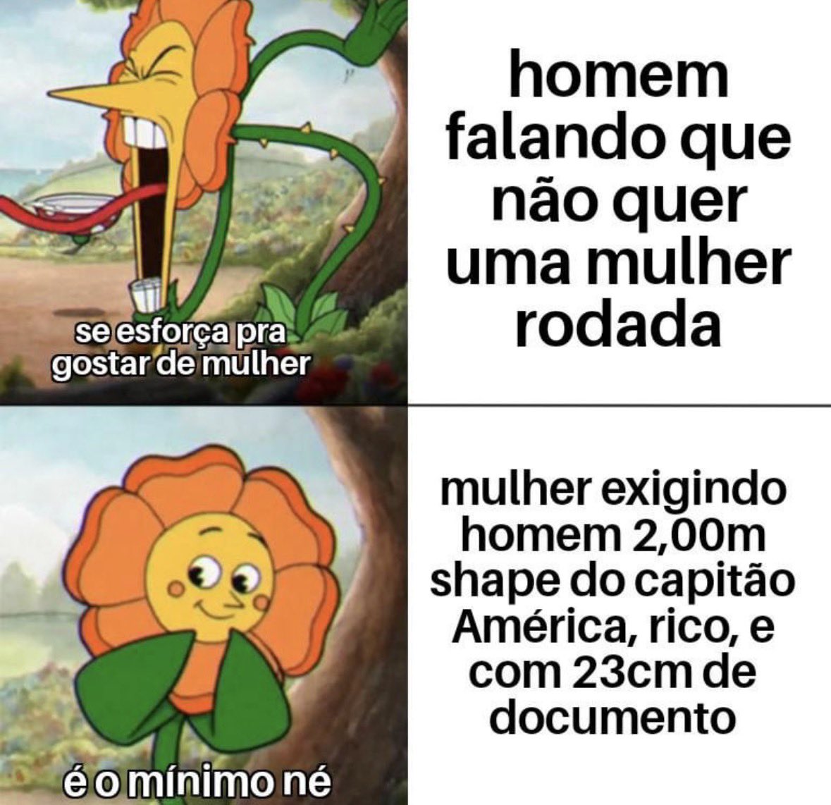 OEstagiari0's tweet image. 