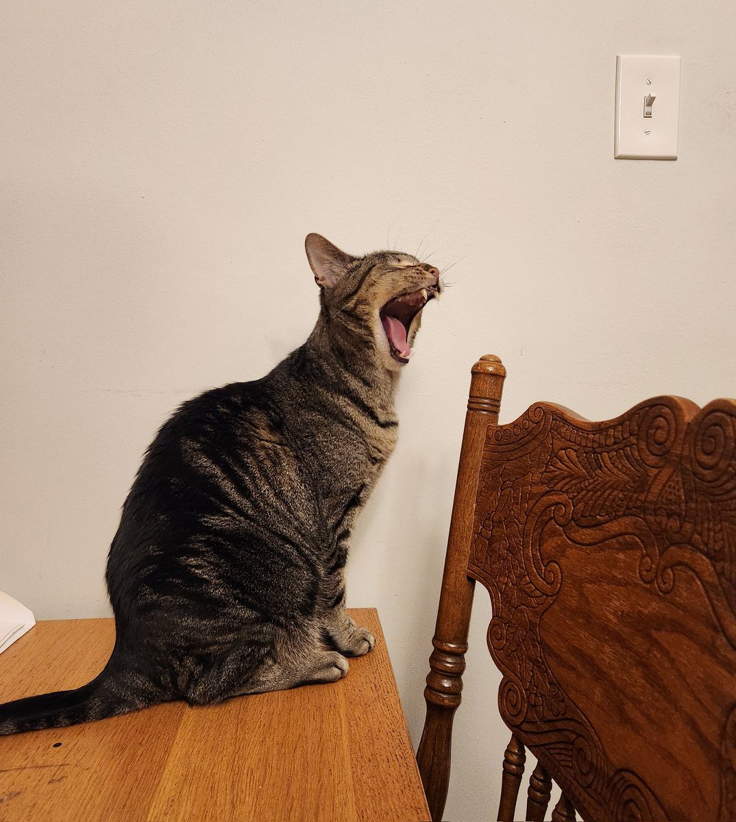 Dom (@domonater7_) on Twitter photo 