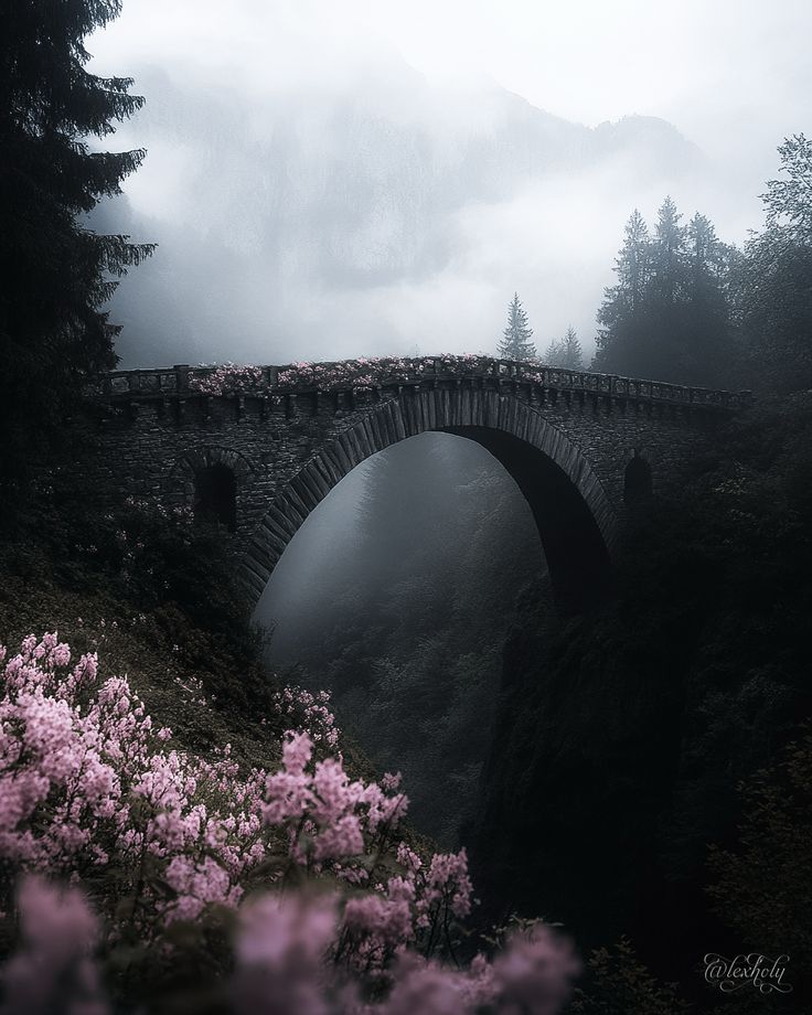 Black. (@blackdreamvibes) on Twitter photo 