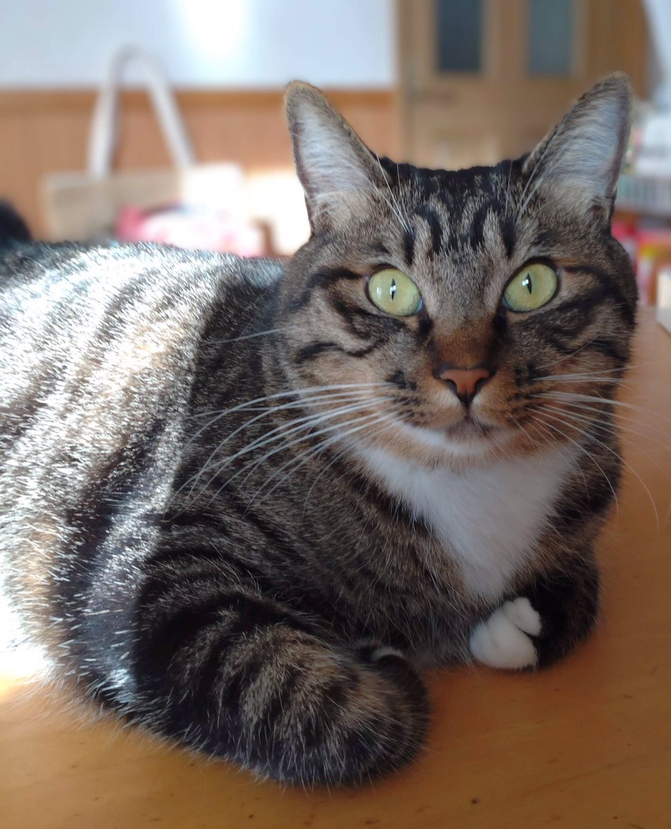 かめきち (@E9Ep7HchhwchZot) / Posts / X