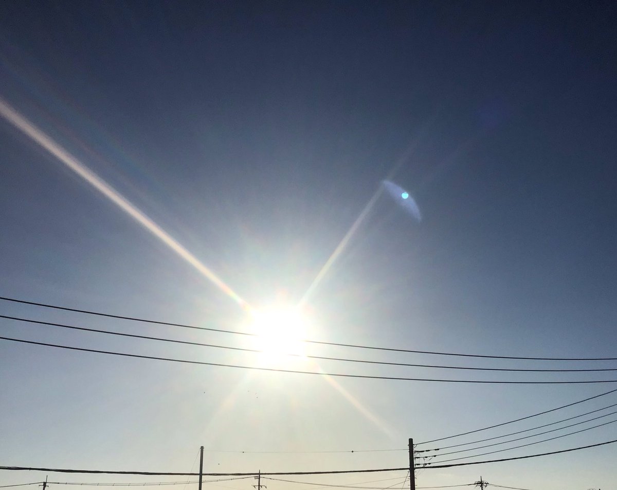 かめきち (@E9Ep7HchhwchZot) / Posts / X