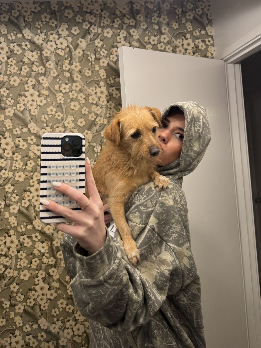 oonacmccaughan's tweet image. Dogs 🤎 @barstoolstore (which will be 20% off everything at 8pm)