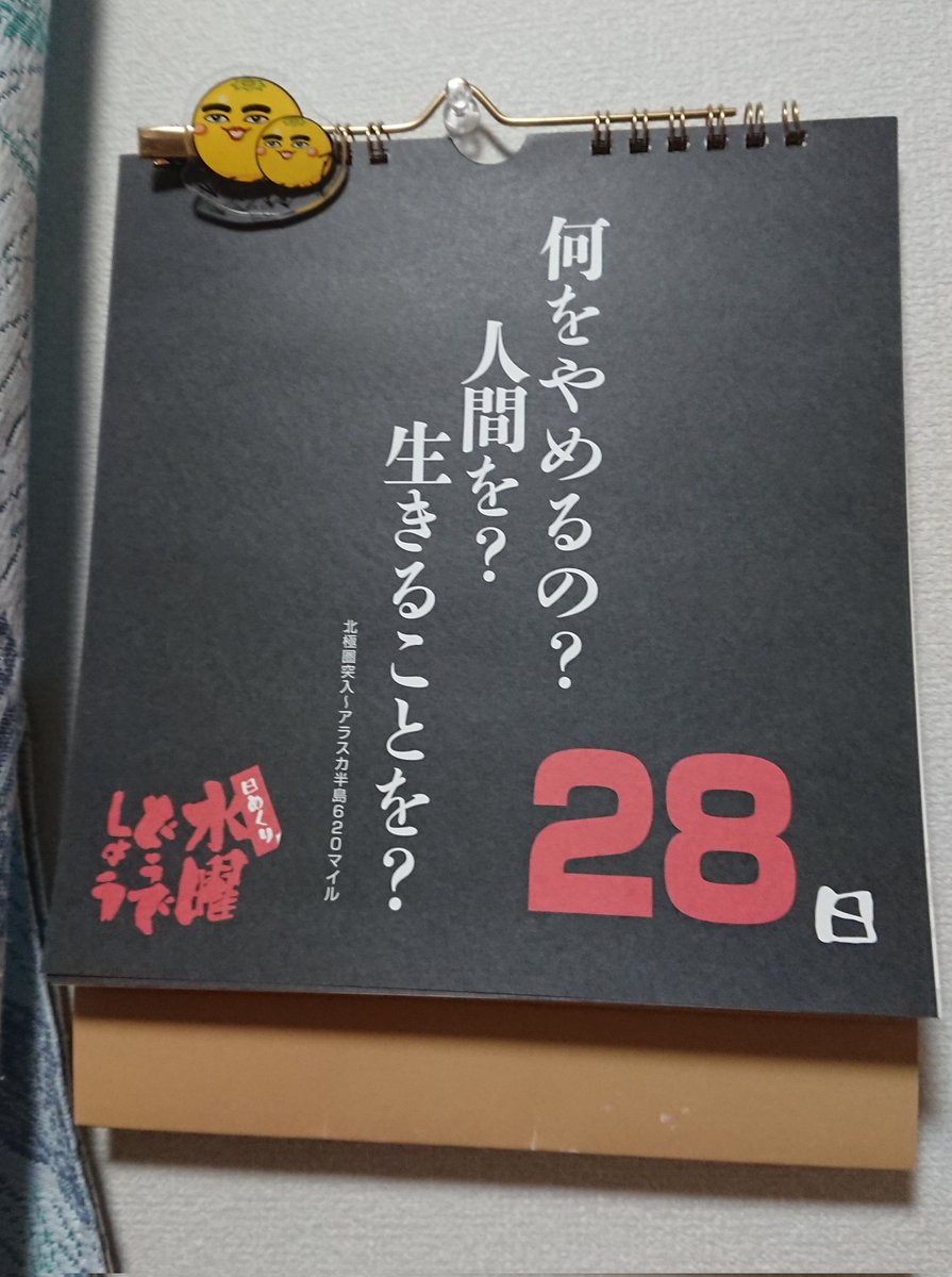 おはようございます🌞 ＃水曜どうでしょう ＃大泉洋 ＃鈴井貴之 #アラスカ