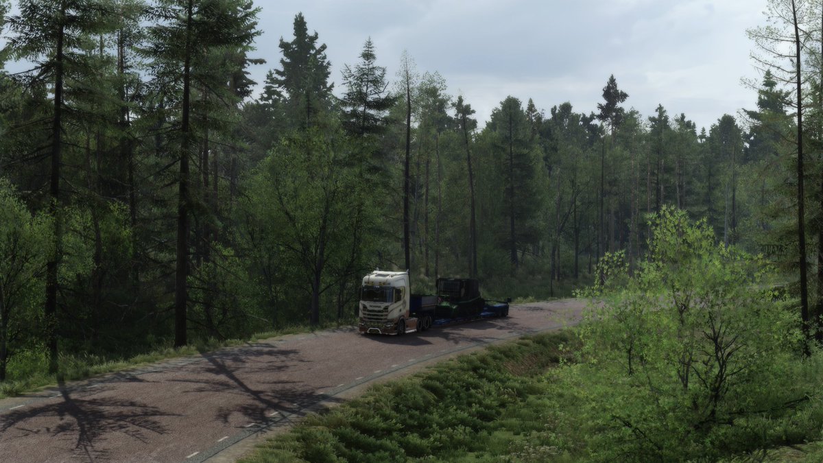 Mrpotatin's tweet image. More #CruisingNordicHorizons shots because I spent 4hs playing but ended up doing just 4 jobs because I took a bit too many pictures, lol. 
Thanks to @SCSsoftware for this amazing Dlc. 
So far, my fav Dlc, even more than West Balkans.
#EuroTruckSimulator2 #ETS2